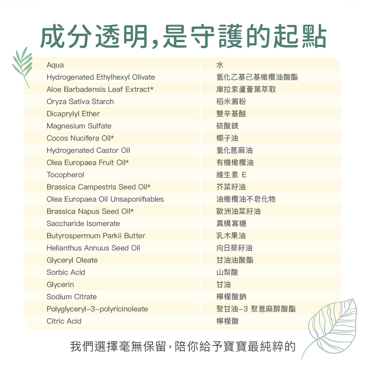 2026_Derma Baby_乾洗屁屁_工作區域 7.jpg