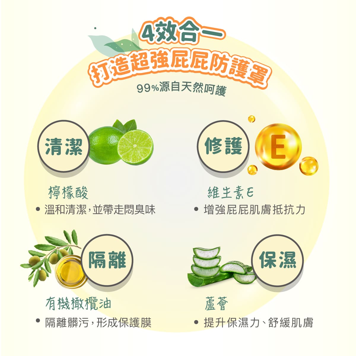 2026_Derma Baby_乾洗屁屁_工作區域 6.jpg