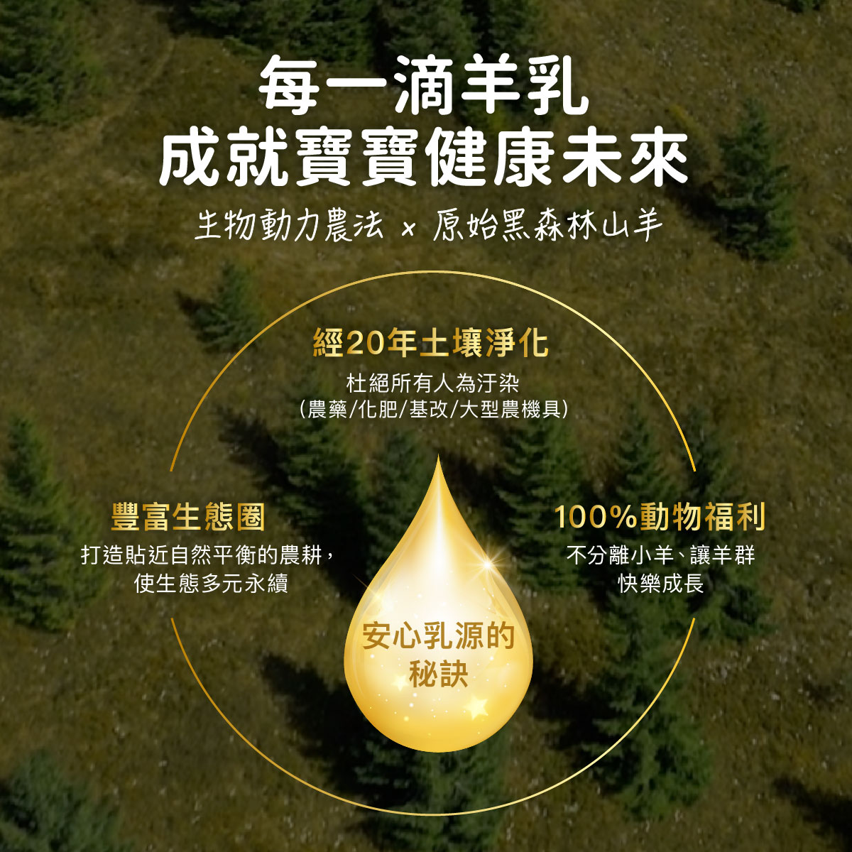 【Holle禾樂純境】生物動力羊3號成長配方-400g(效期2027年8月)9
