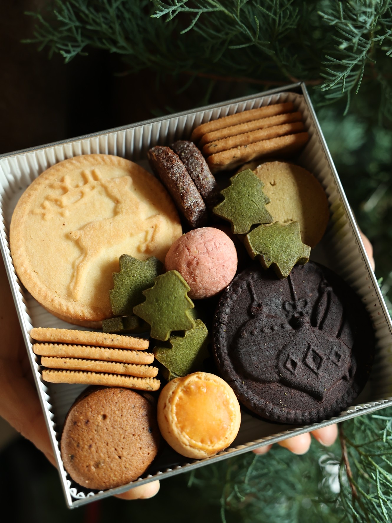 【雪松與紅絲絨】Belles Vacances x The Ribbon Florist 耶誕限定聯名禮盒 (Cedar & Velvet)3