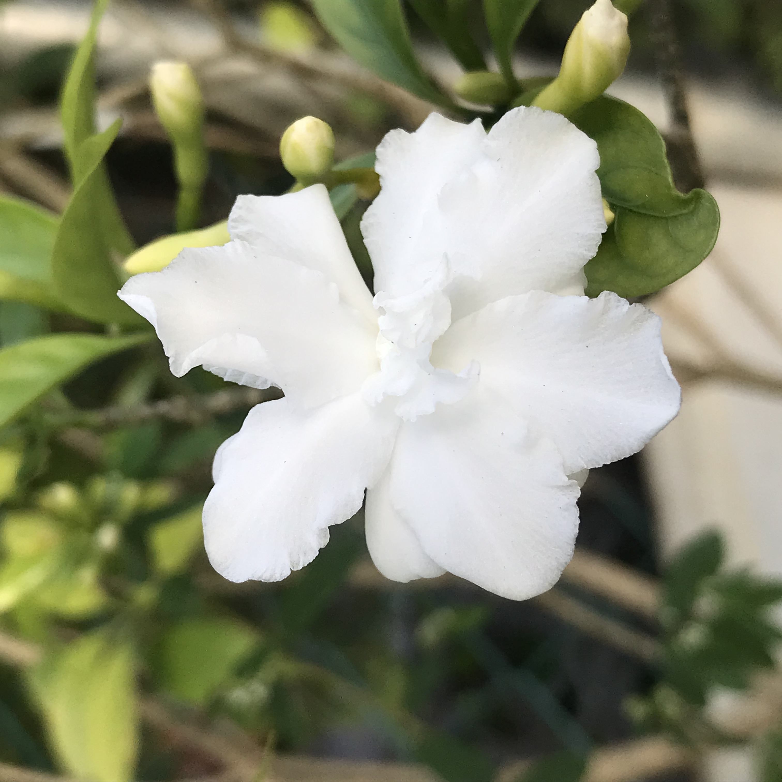 新上架 ❙  攝影藝術