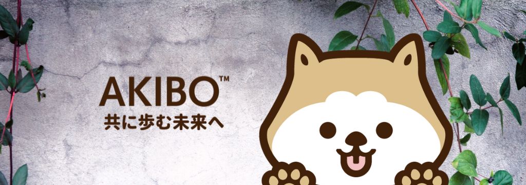 AKIBO來了