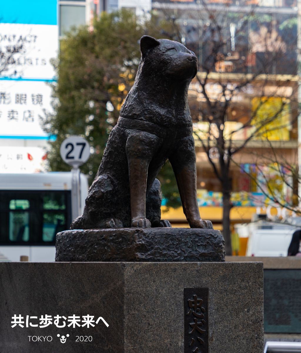 AKIBO發源地