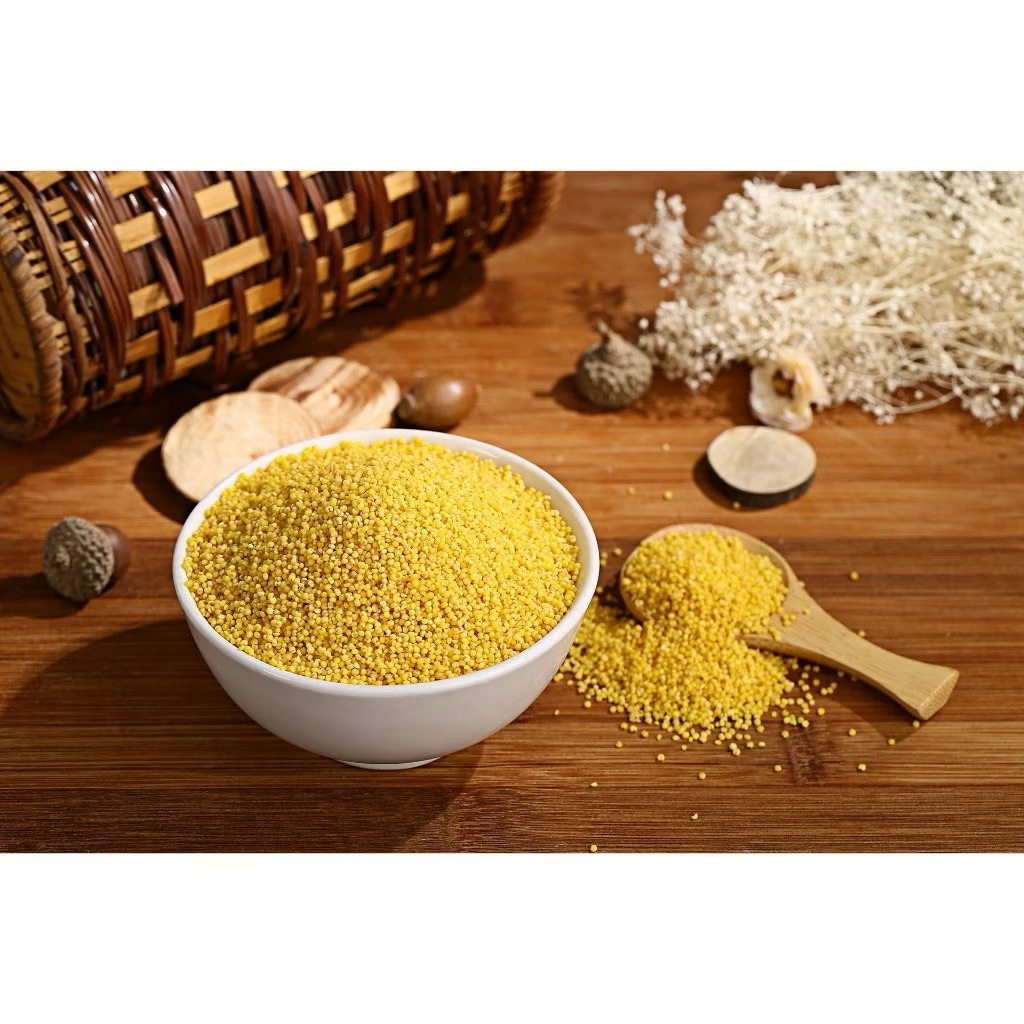 【友綠生活】有機小米 450g|美國有機粳小米 × 國立中興大學有機驗證|EU歐盟 × NOP × COR 國際有機認證|無農藥化肥|老幼可食 五穀雜糧烹煮皆適合2