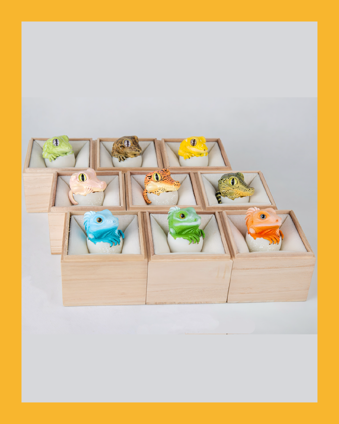 【搗搗蛋】木製展示禮盒