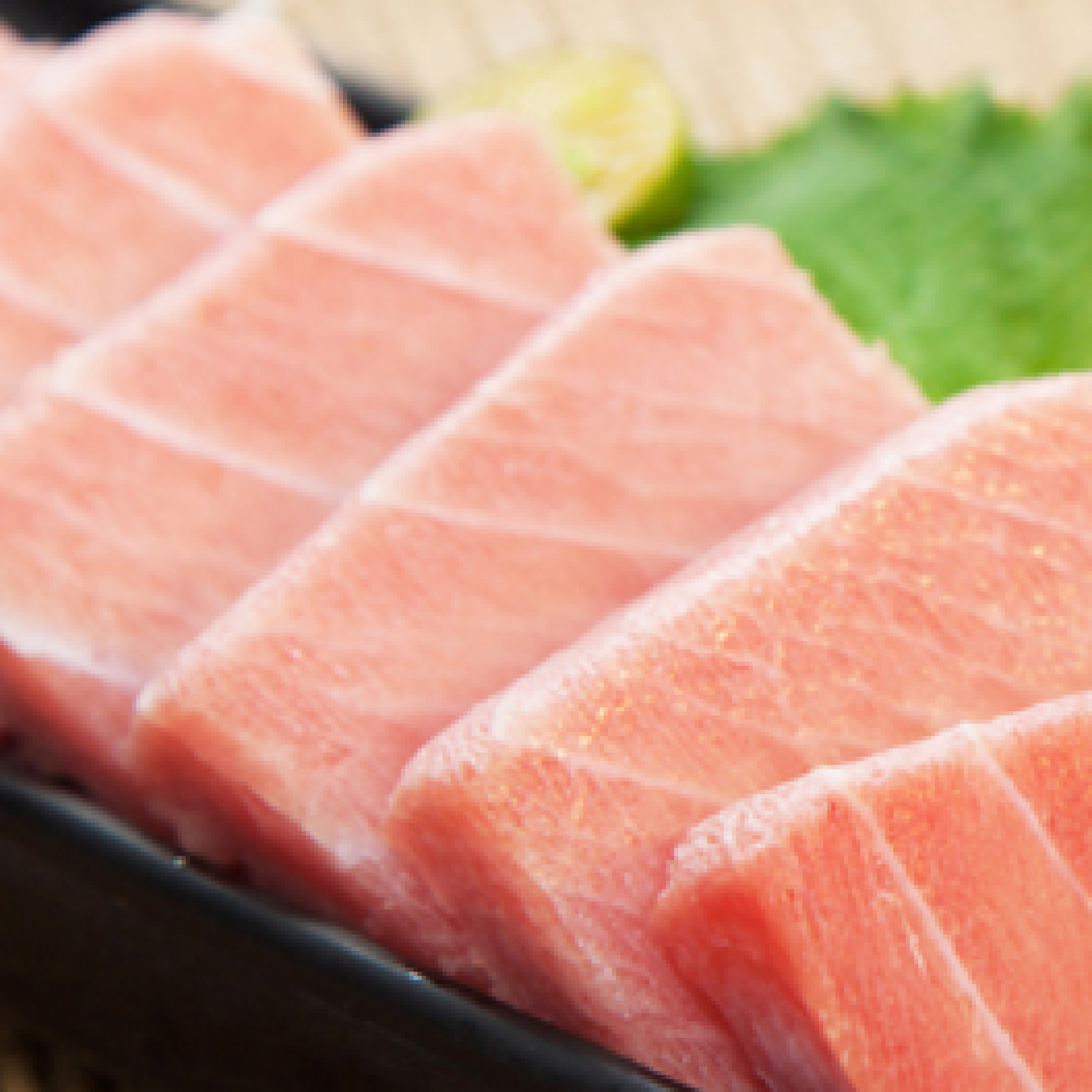 北方黑鮪魚 中腹