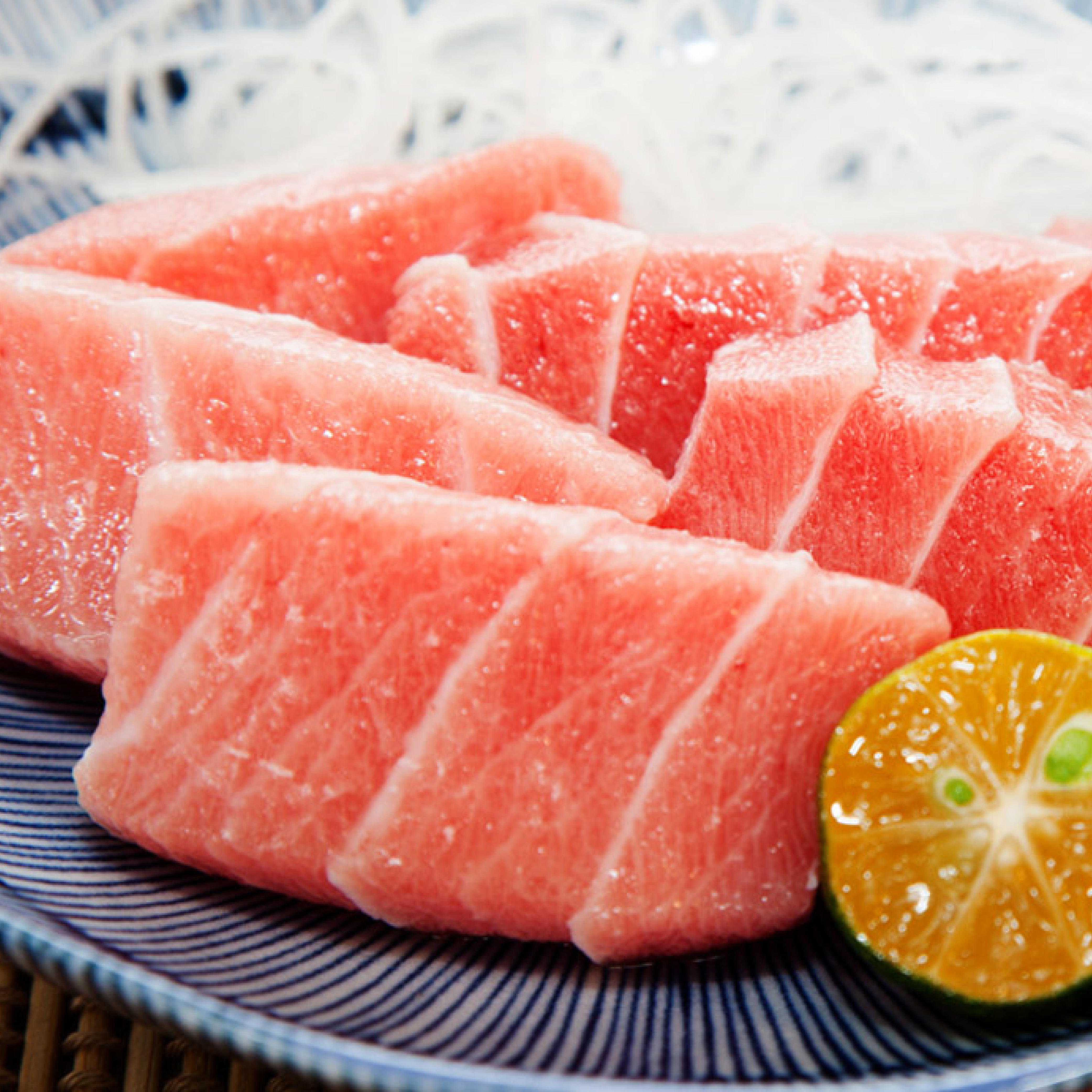 北方黑鮪魚 大腹