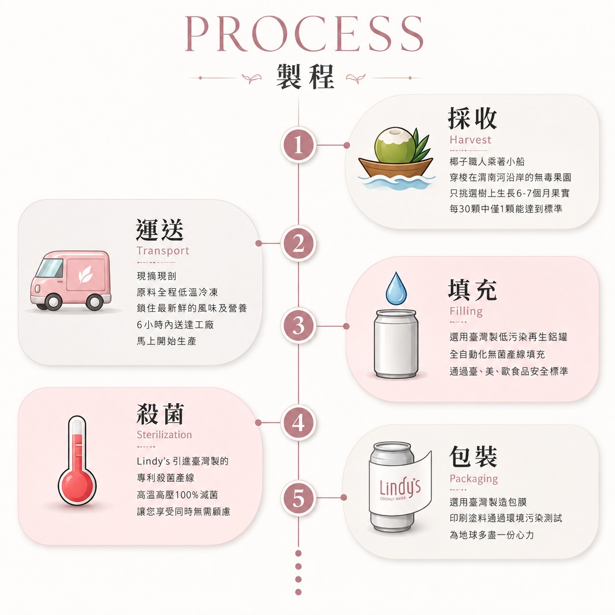 LINDY'S 100% 原味椰子水310ml 24入裝18