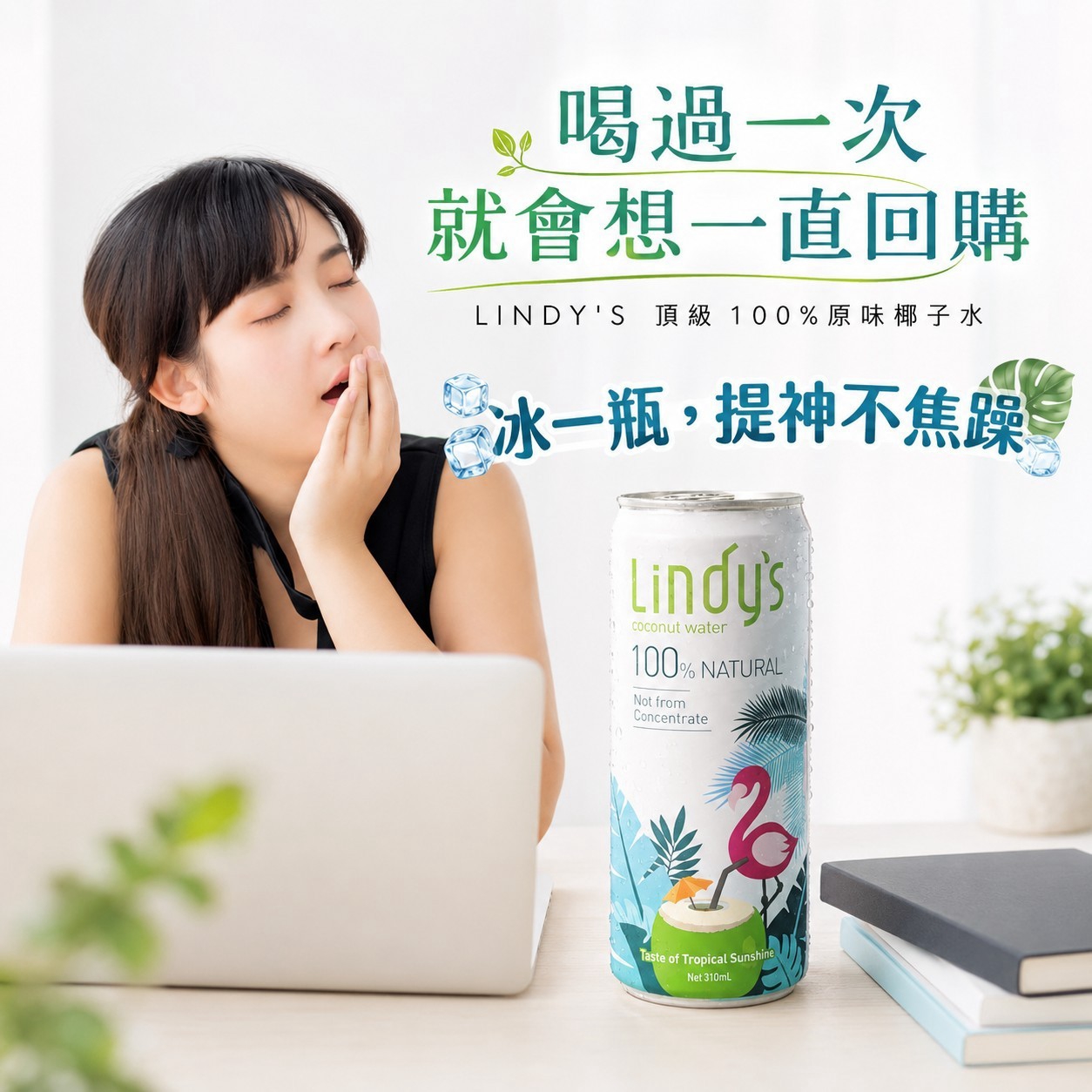 新包裝【Lindy’s 新客試喝組】310ml*6入17
