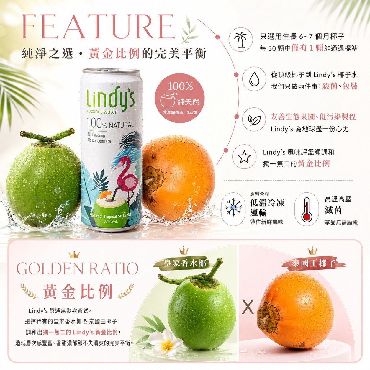 新包裝【Lindy’s 新客試喝組】310ml*6入5