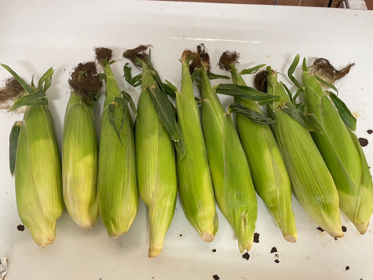 爆甜登場|果農直送生食級牛奶水果玉米3