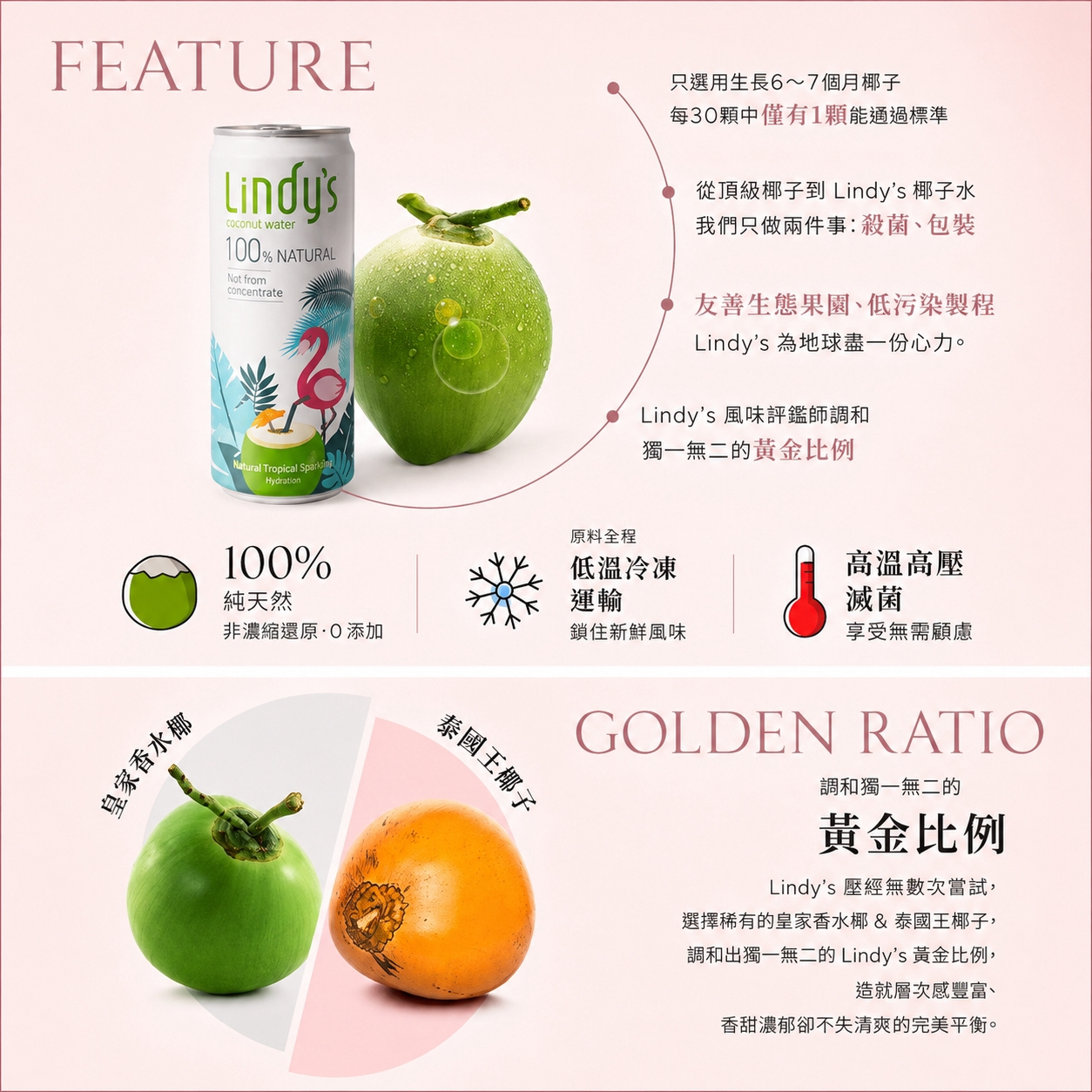 新包裝【Lindy’s 新客試喝組】310ml*6入9