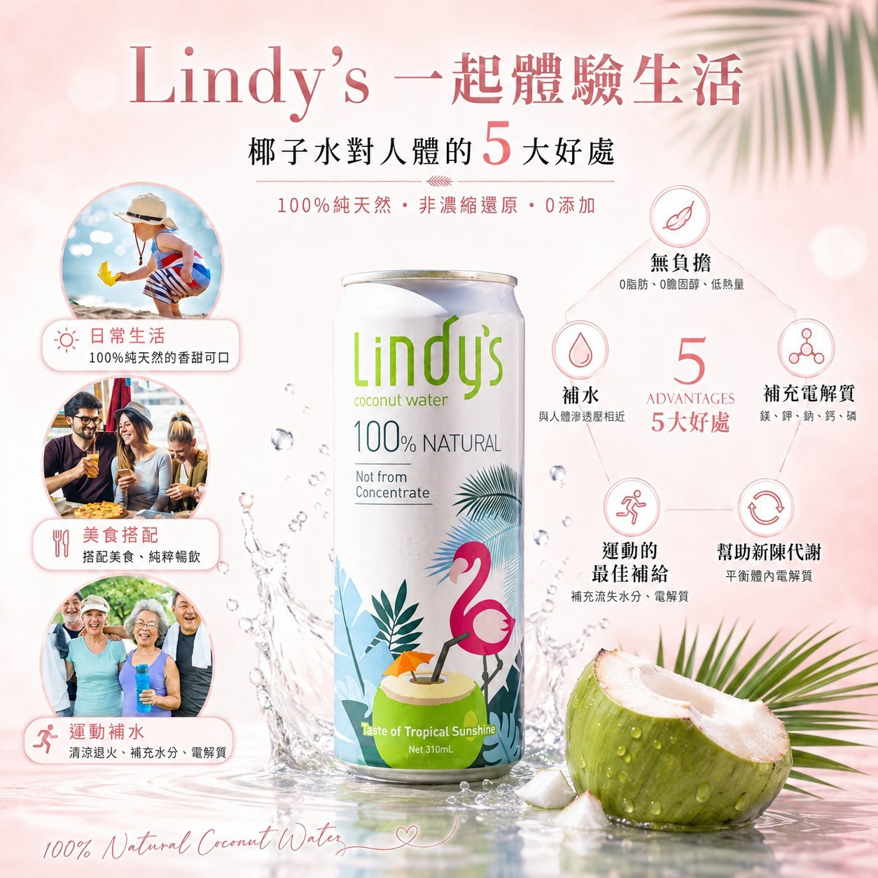 新包裝【Lindy’s 新客試喝組】310ml*6入6