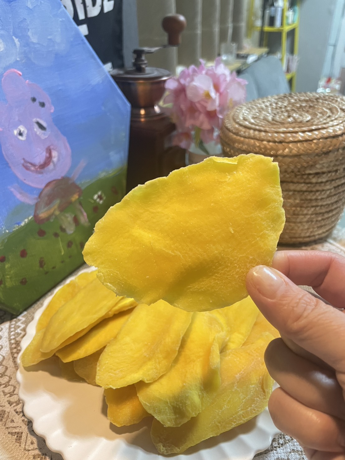 越南芒果乾/越南鳳梨乾 2包任選免運組9