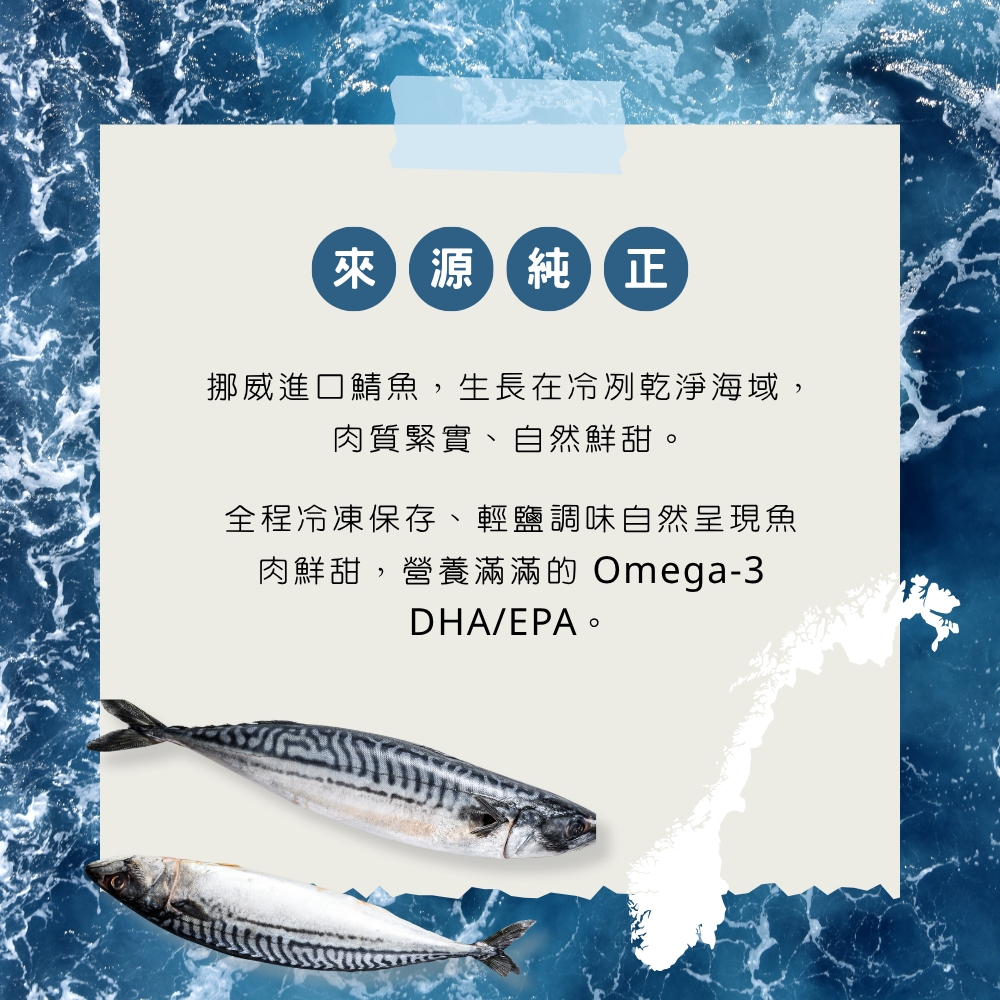 挪威低鹽鯖魚片10片免運組5