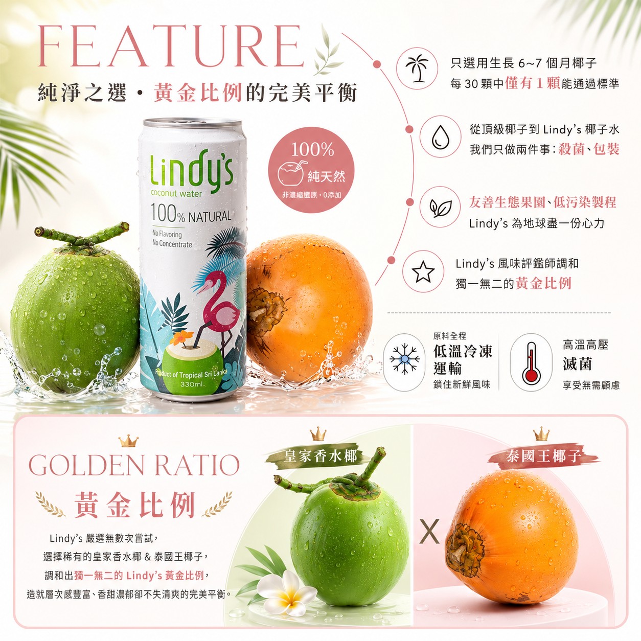 LINDY'S 100% 原味椰子水310ml 24入裝11