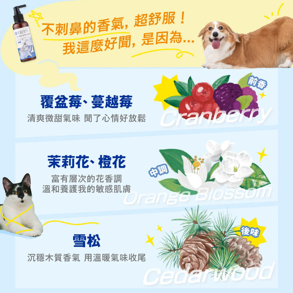 毛起來洗 草本養護 潔淨乾洗噴霧 155ml (貓狗適用)2