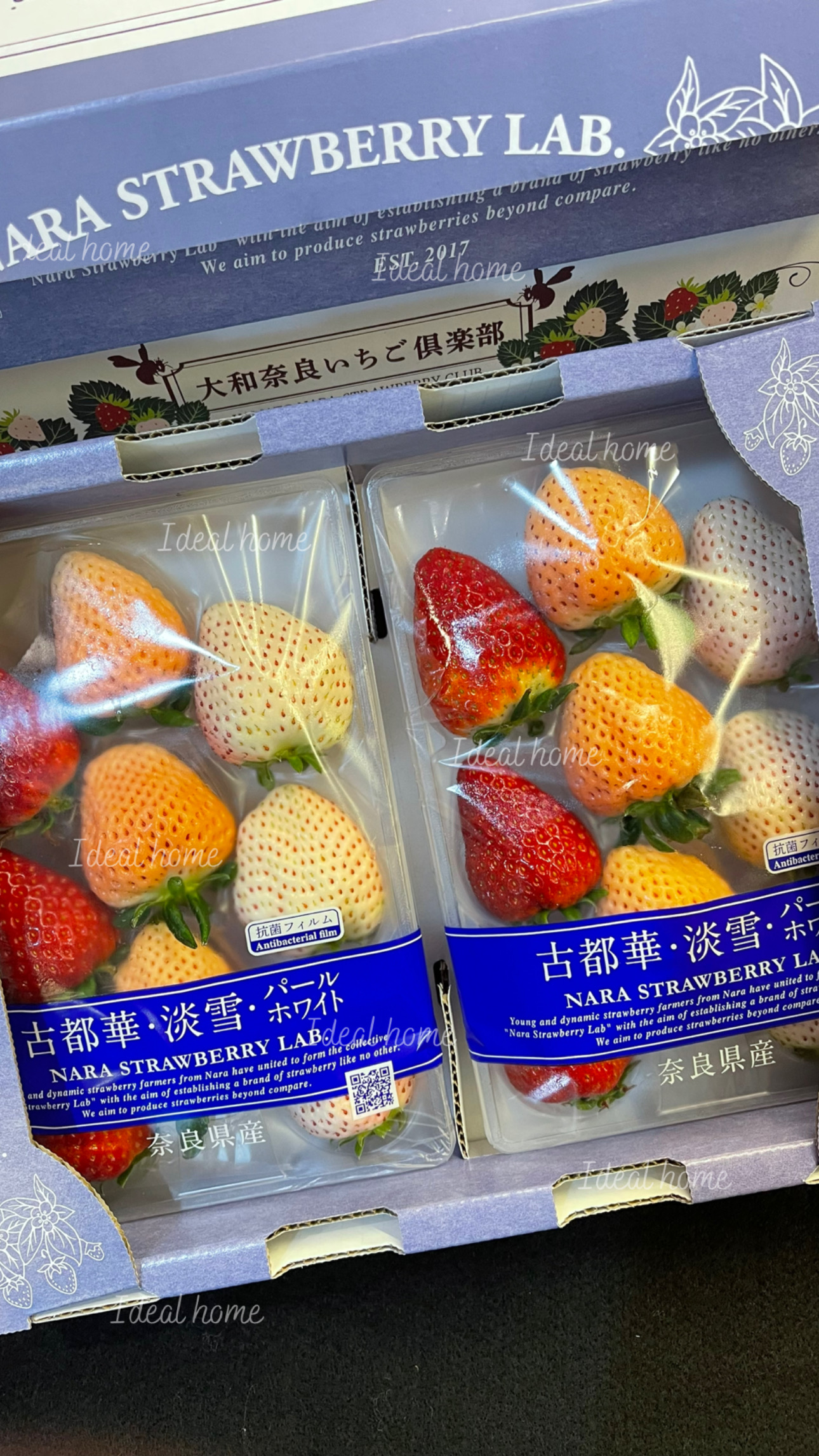 日本三色草莓(三種混搭)5