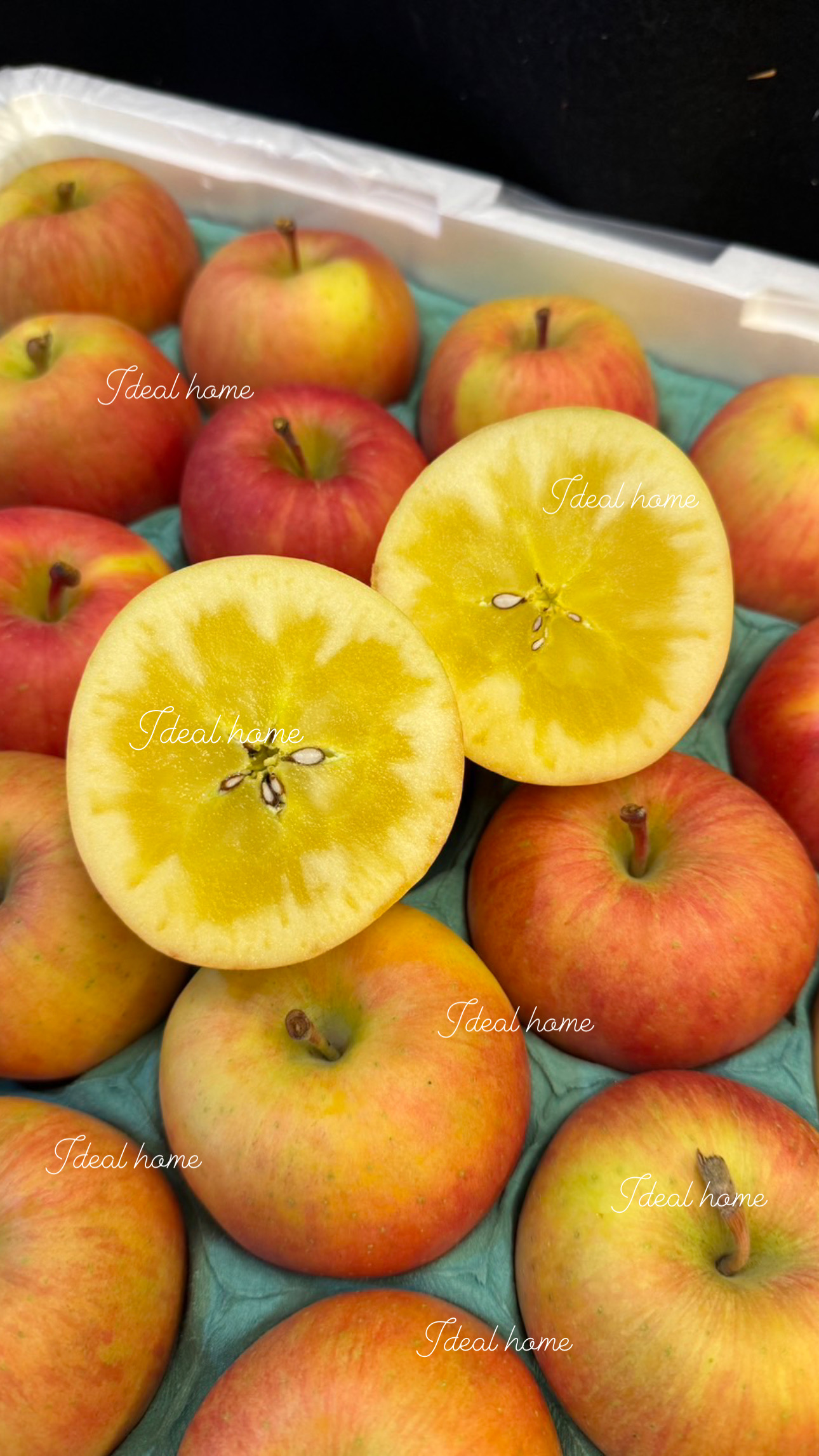 日本山形蜜蘋果〈紅蘋果/青蘋果〉