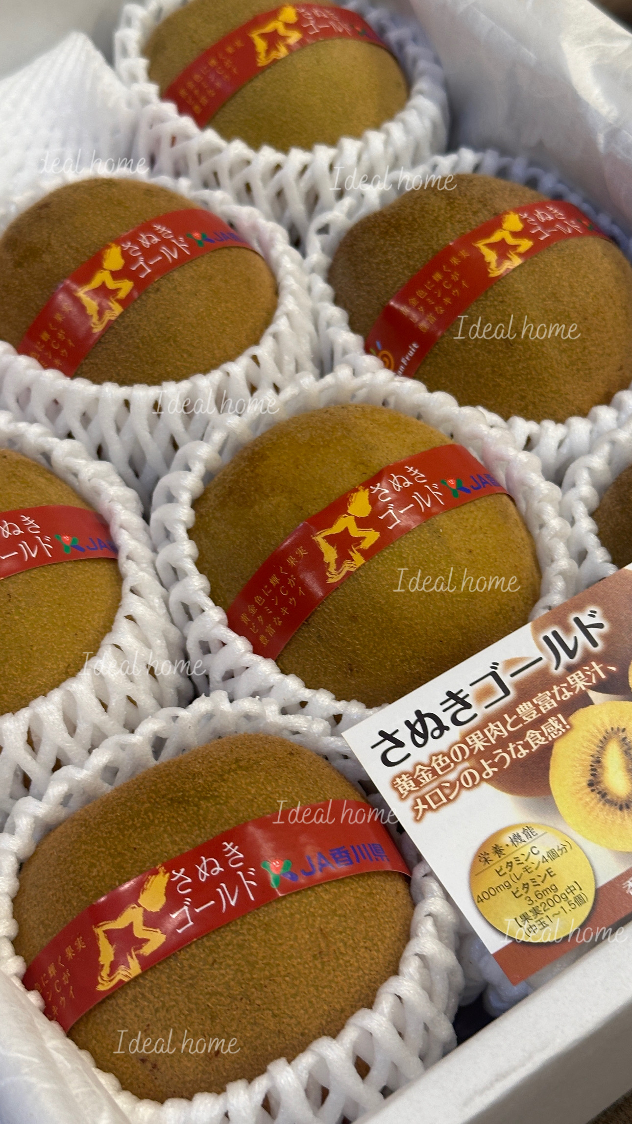 日本香川黃金奇異果(禮盒)