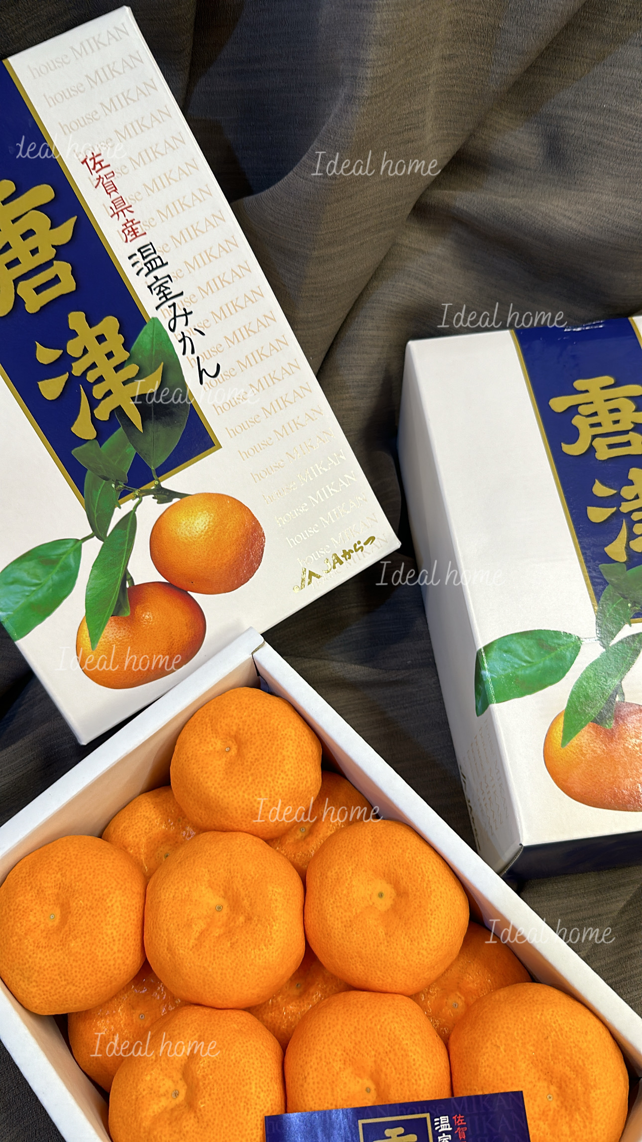 日本溫室唐津蜜柑