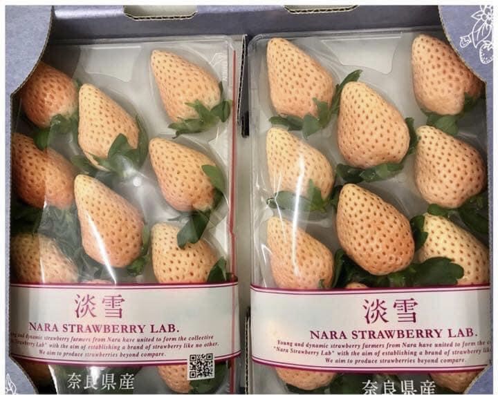日本淡雪草莓「預購商品排單出貨」