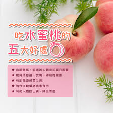加州水蜜桃/雪巨人/冰公主/粉紅公主/白桃/扁桃14