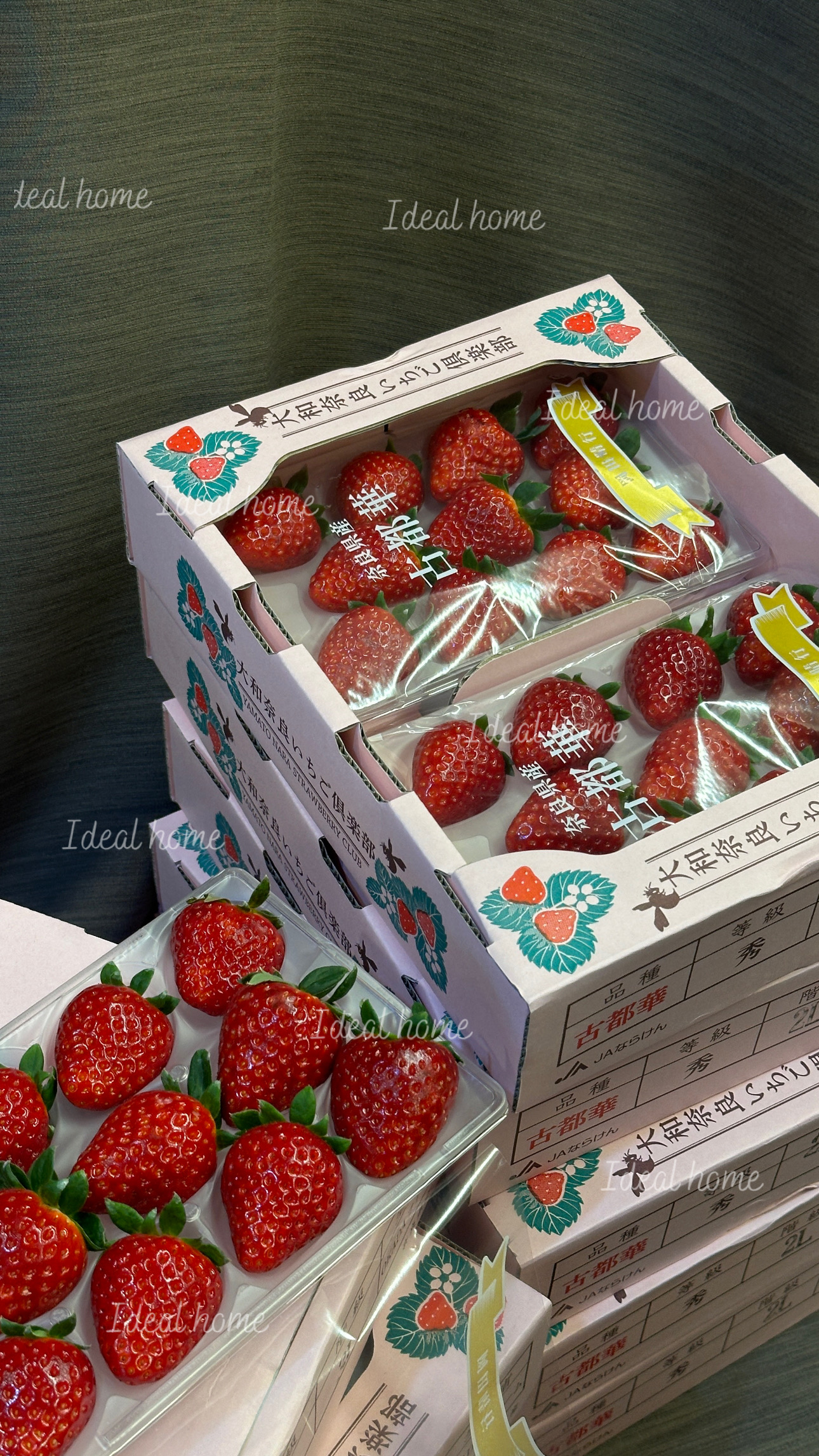 日本古都華草莓