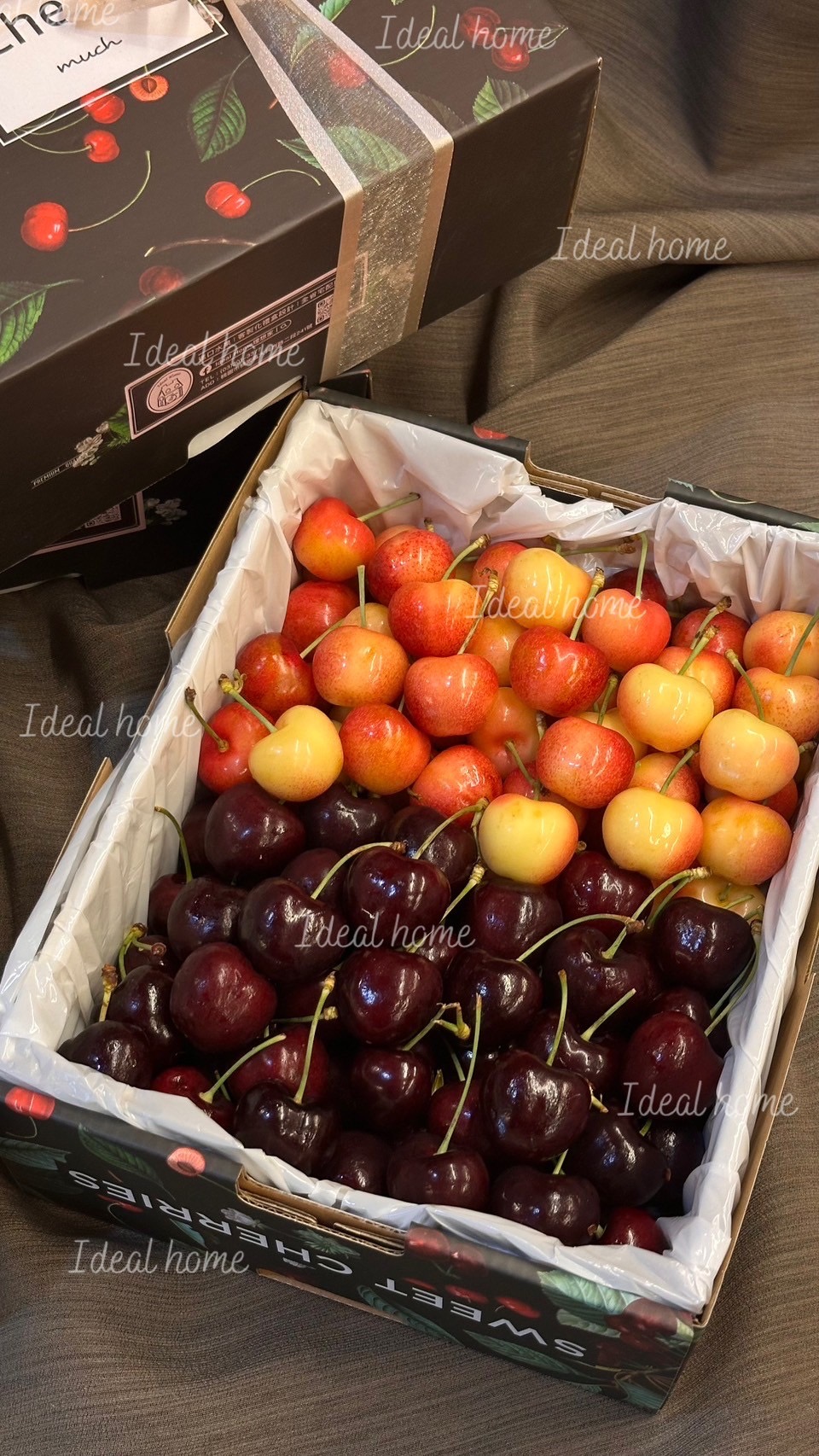 智利白櫻桃〔紅+白雙拼櫻桃〕