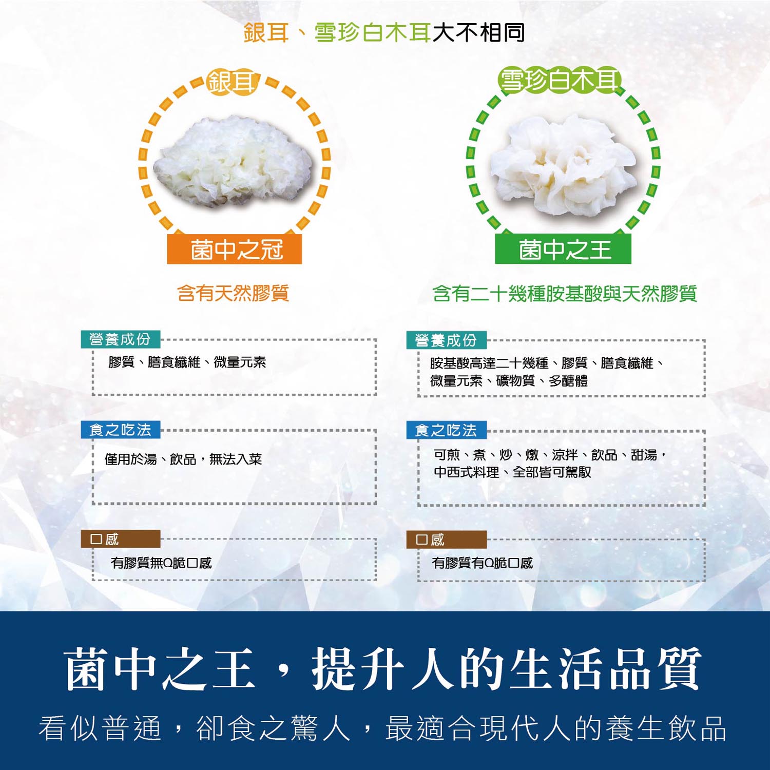 養生玉耳露-型錄