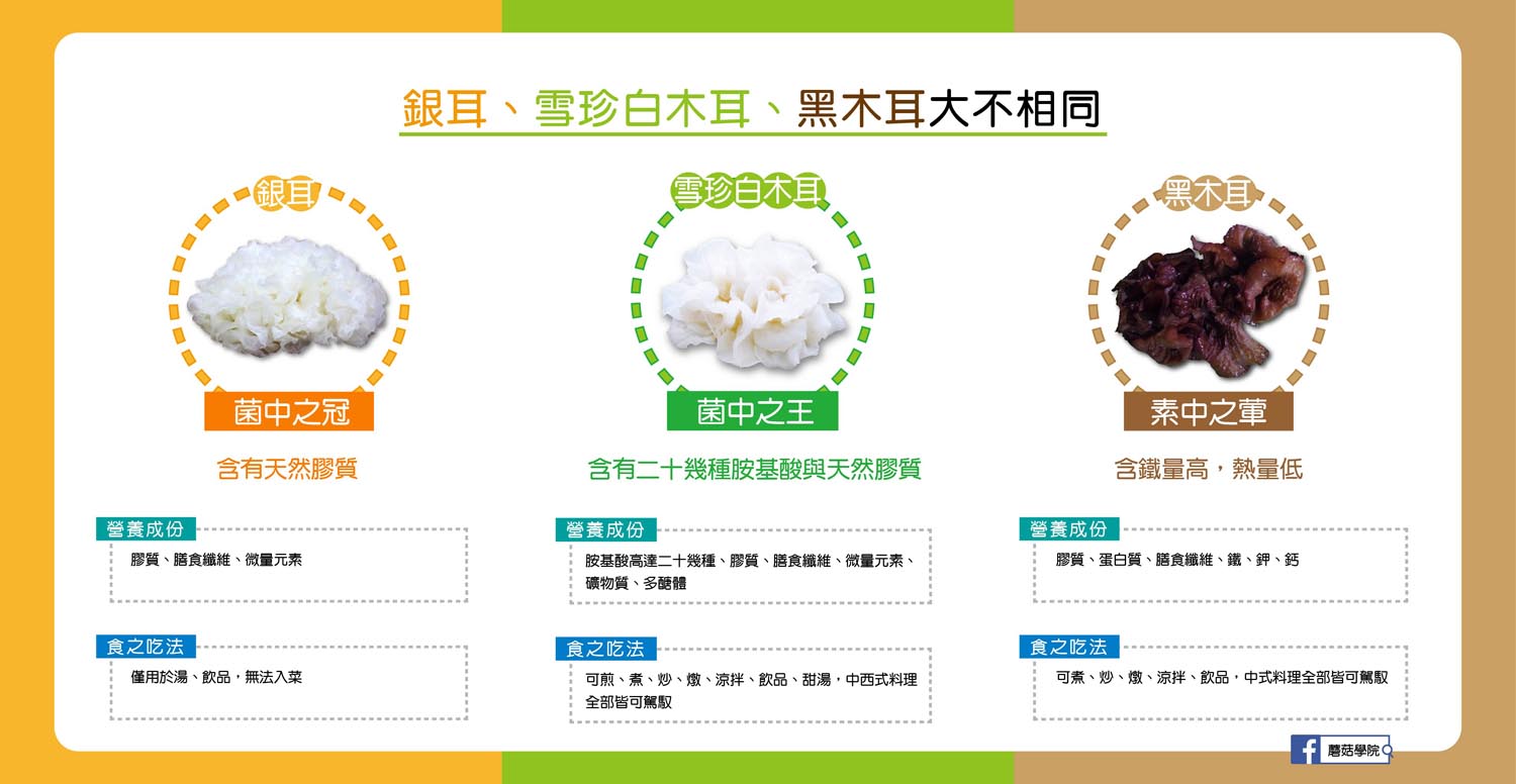 菇種比較圖