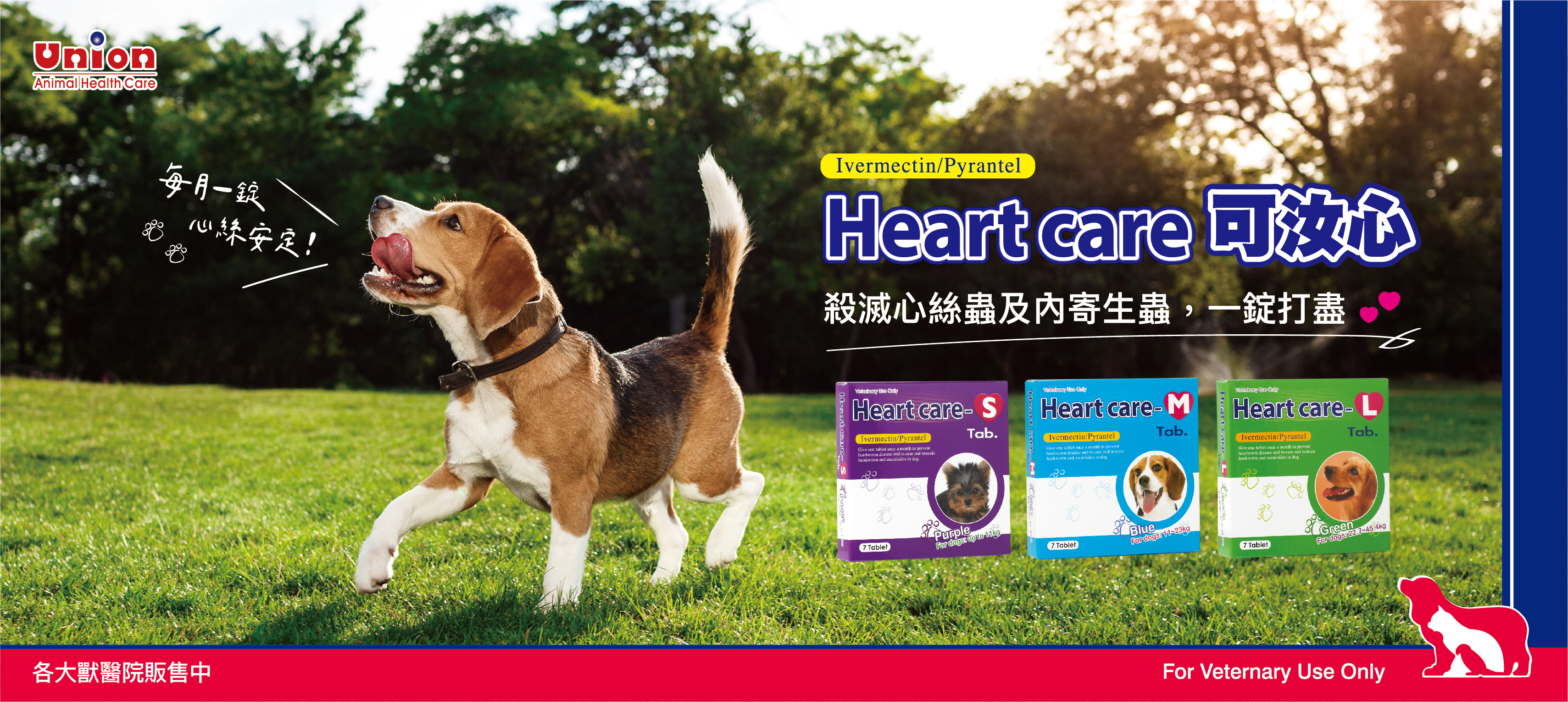 每月一錠,心思/絲安定! 每月一錠,心思/絲安定!