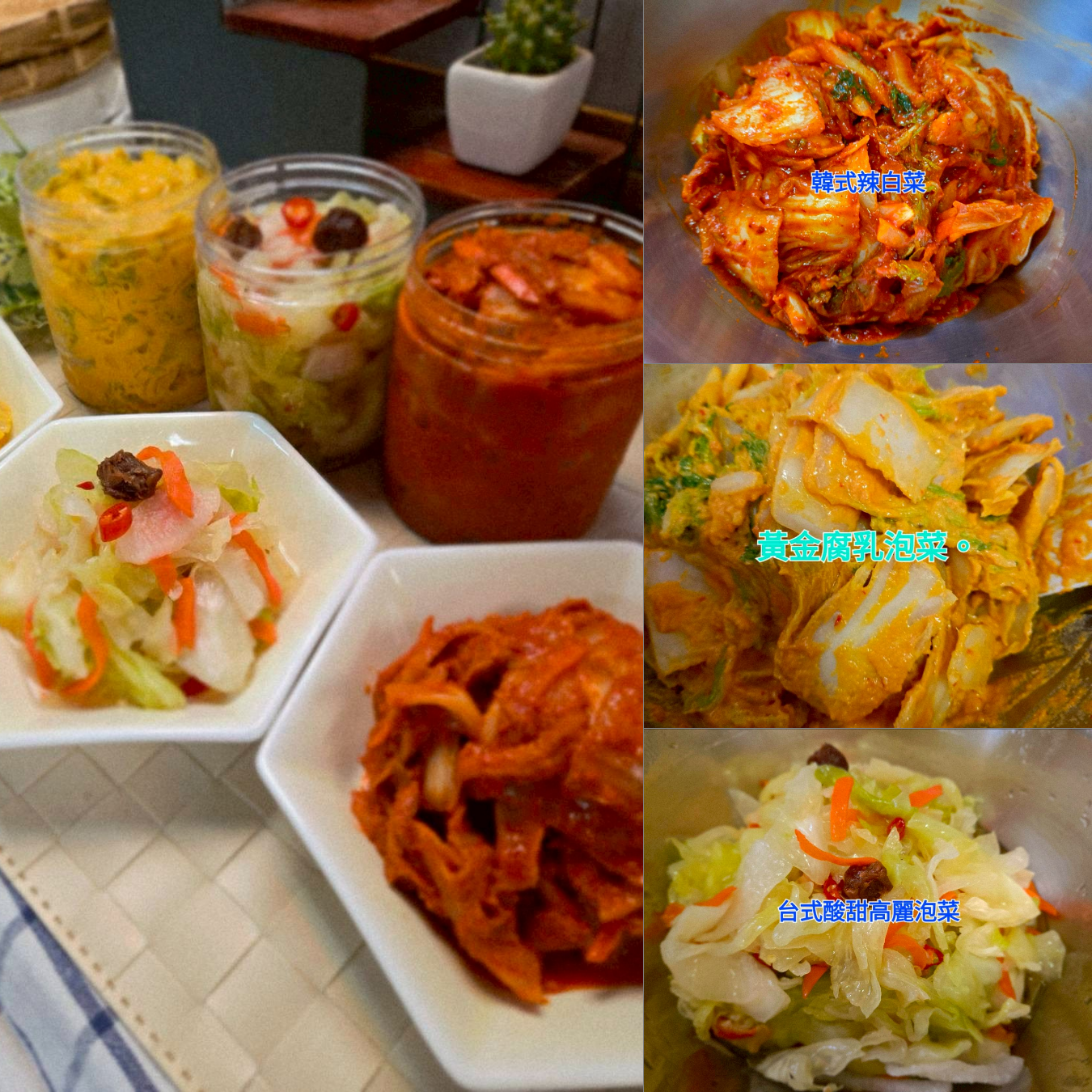 林成 老師 |  新潮流蔬食～經典泡菜系列