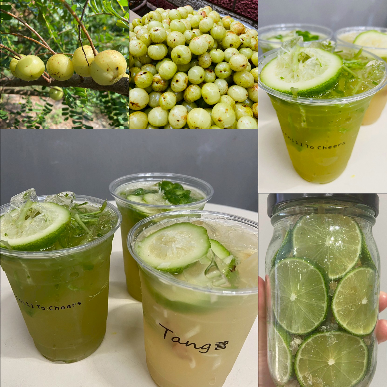 李燕萍_251030B_1.png 李燕萍 | A班: 油柑茶 × 檸檬手作體驗課