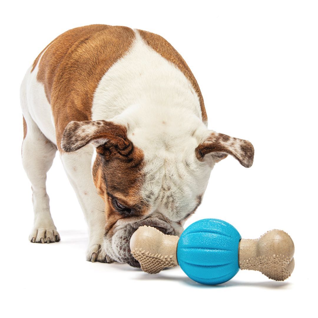 Spin Chew Bone 04.jpg