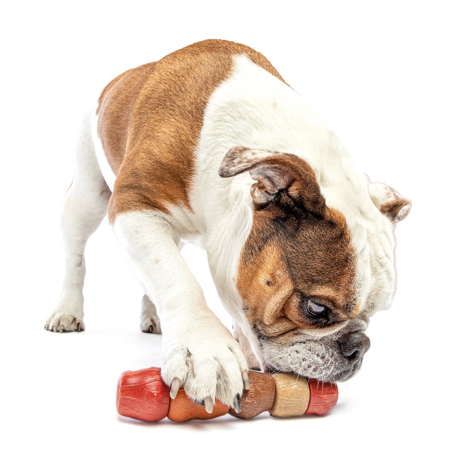 Multi-Flavor Stick 02.jpg