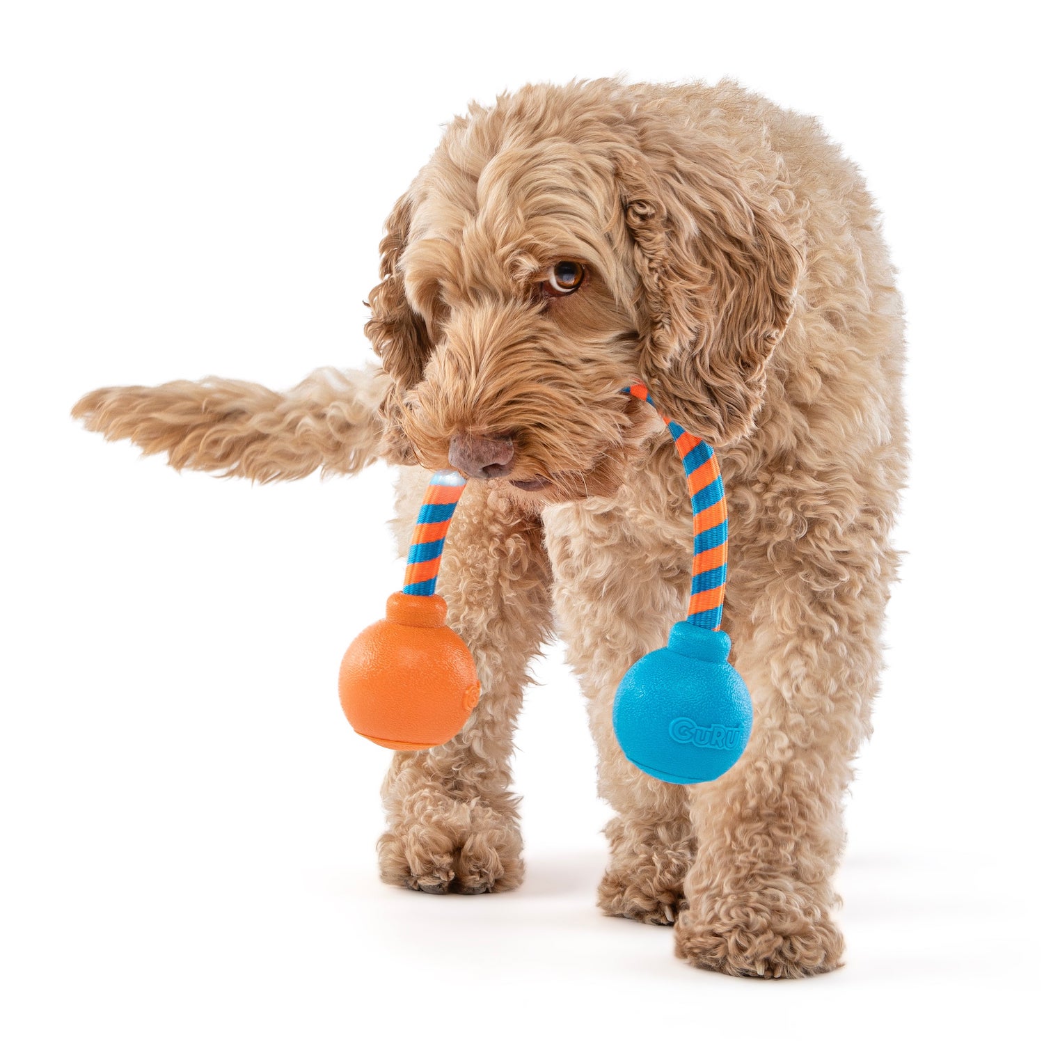 Squeaking Rope 02.jpg