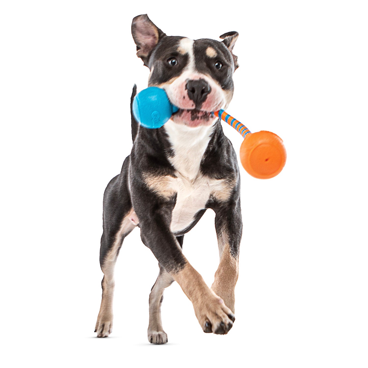 Squeaking Rope 03.jpg