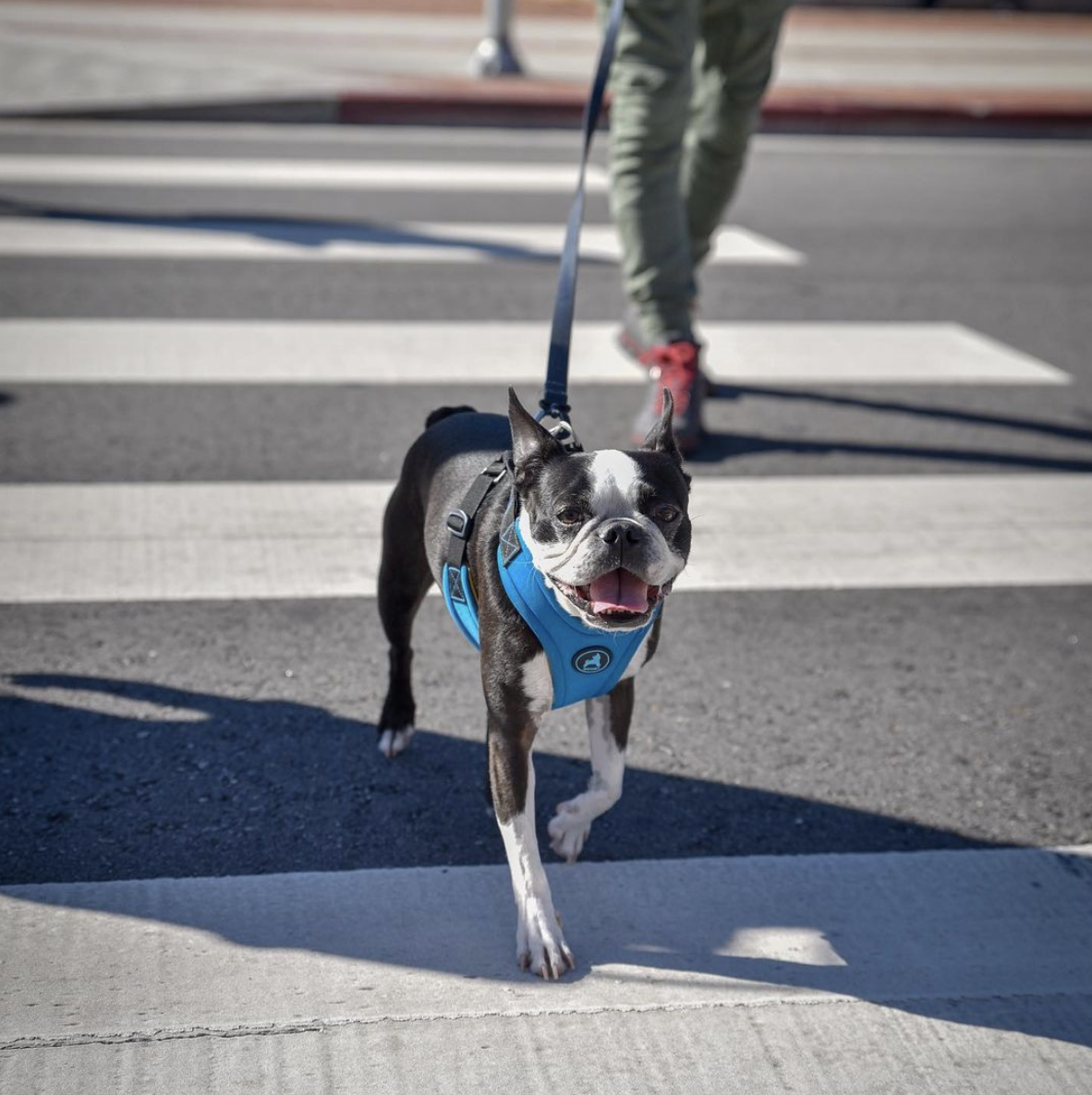 螢幕快照 2021-01-07 16.30.09.png