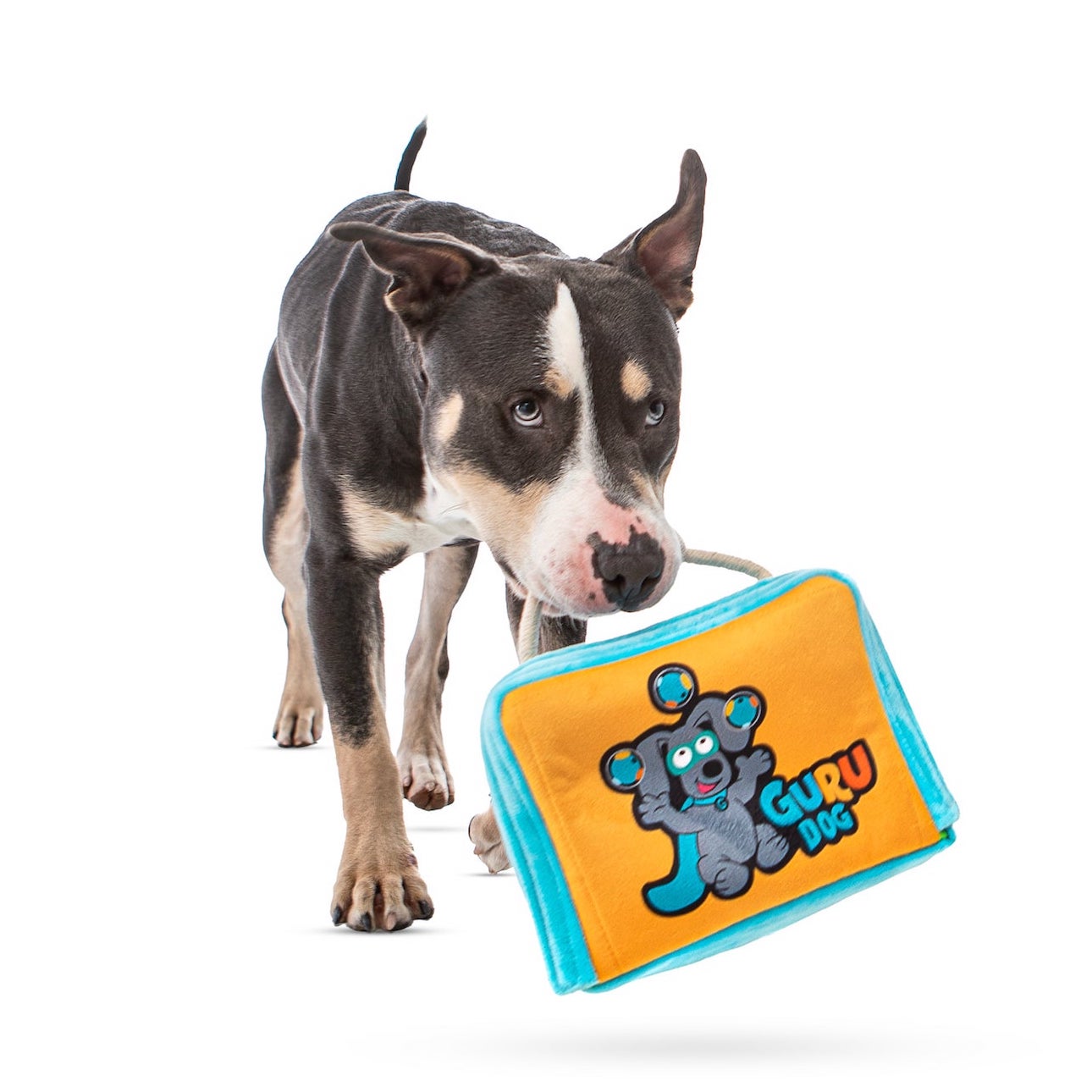 Fun Box Juggling 02.jpg