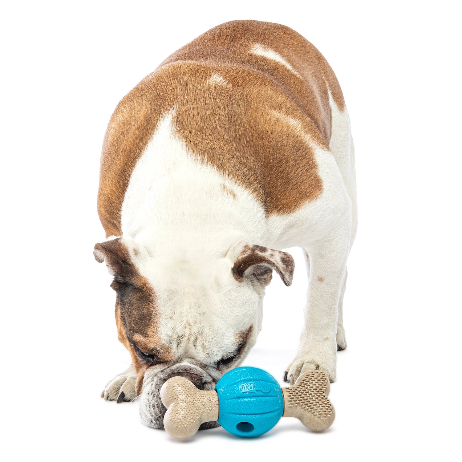 Spin Chew Bone 03.jpg