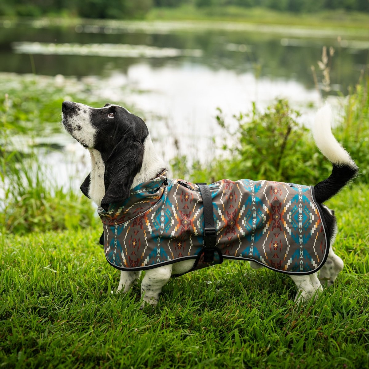 PENDLETON Pet Adventure Rain Coat 冬季探險風雨衣(神聖綠松之湖)8