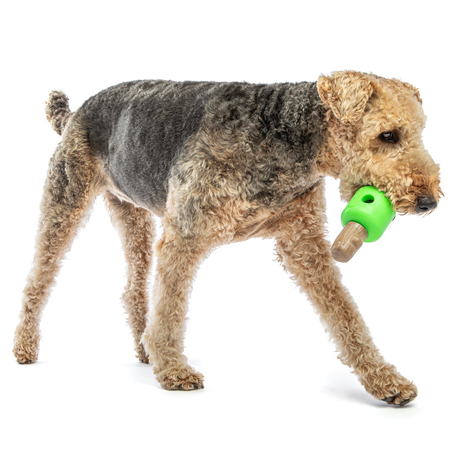 Spin Treat Stick 03.jpg