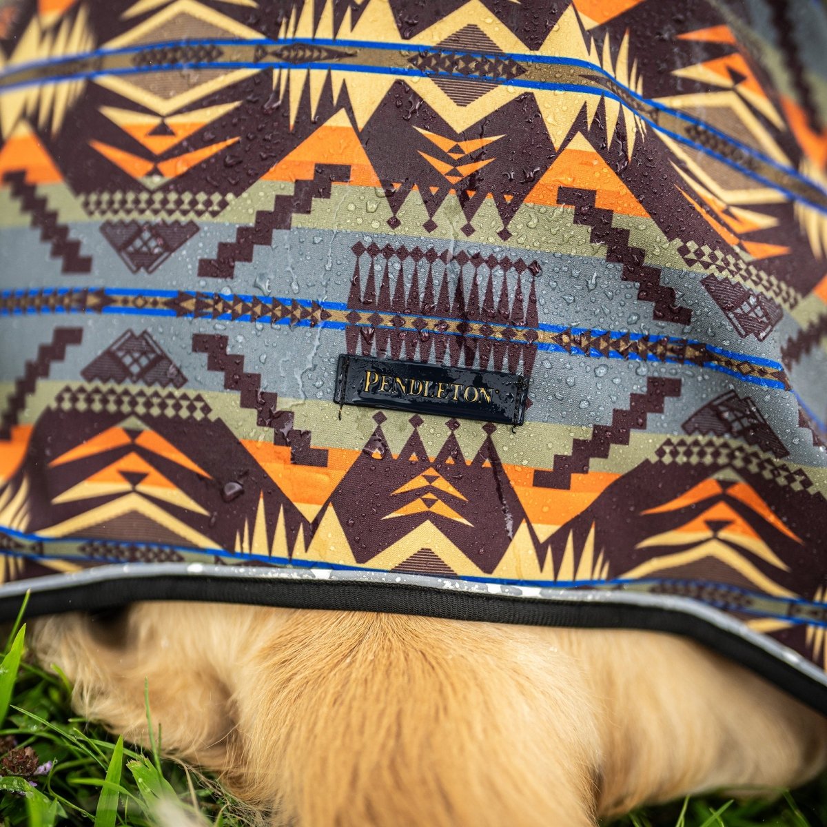 PENDLETON Pet Adventure Rain Coat 冬季探險風雨衣(心靈能量之湖)7