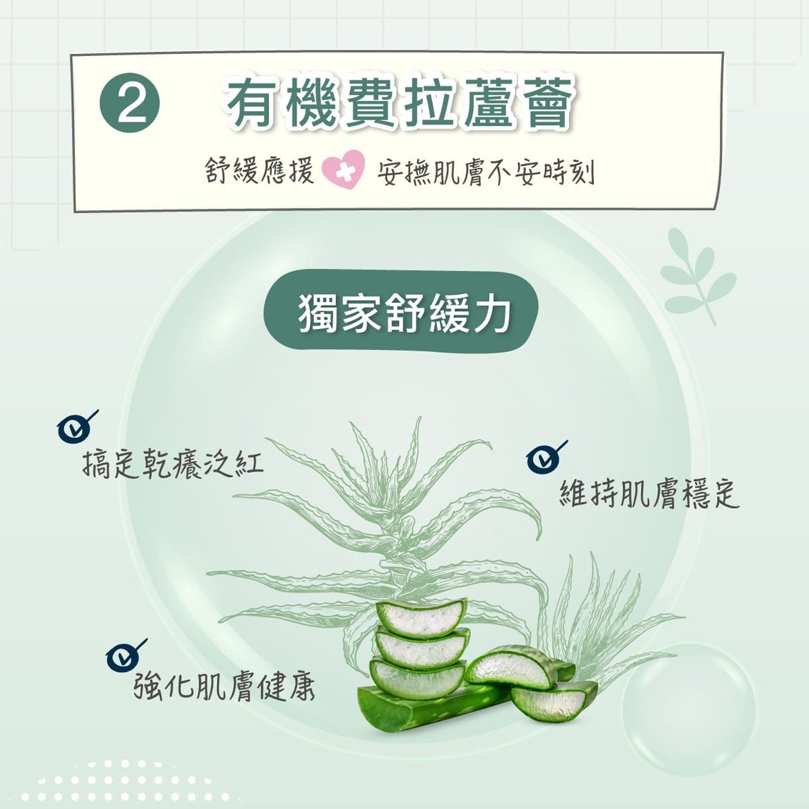 2025_10_Derma Baby_萬用膏-06.jpg