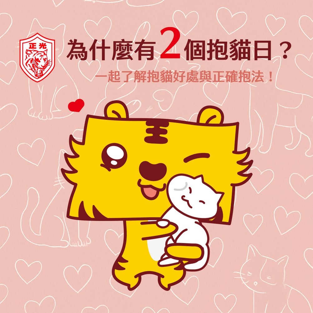 國際抱貓日：擁抱貓咪的療癒力，正光陪你與貓一起好好生活- 正光製藥