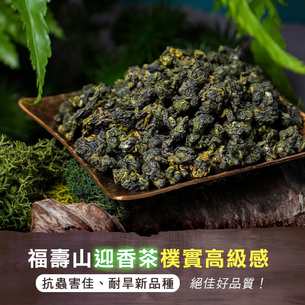 福壽梨山迎香茶(一斤、三斤) - 六年二班茶班長