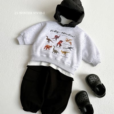 vivid54｜(78cm-125cm) 恐龍印花休閒上衣6