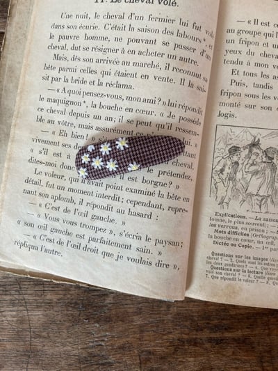 Anne Shirley42｜(free) 6色刺繡手工髮夾5