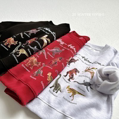 vivid54｜(78cm-125cm) 恐龍印花休閒上衣2